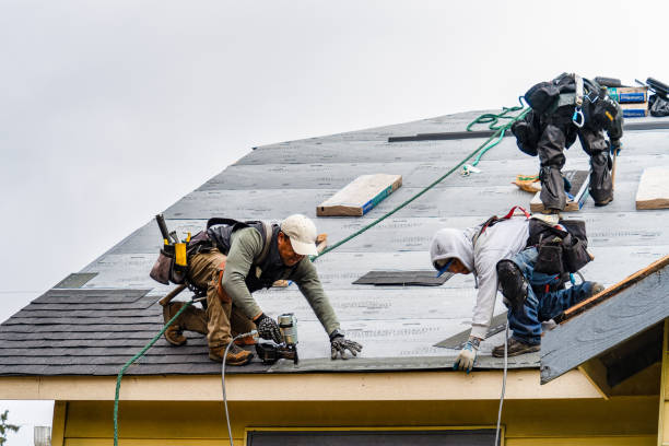 Professional Flat Roof Repair technician working in Dry Branch, GA